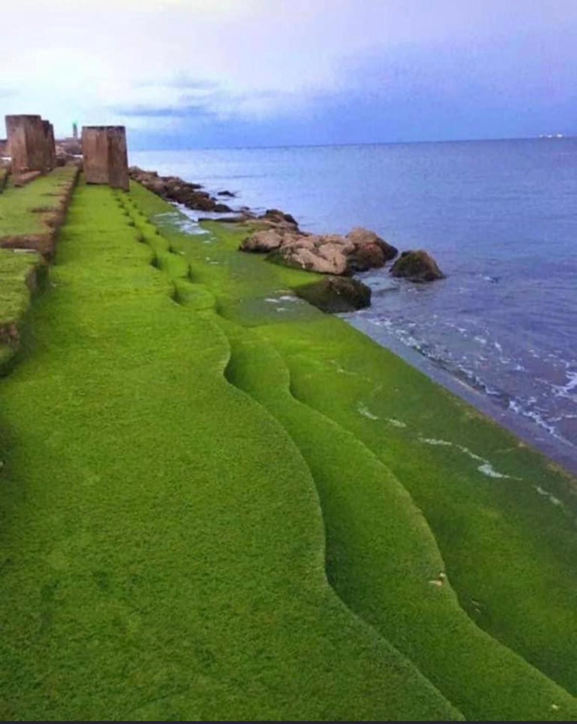 Dias De Ensueno En Castro Urdiales Διαμέρισμα Εξωτερικό φωτογραφία